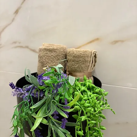 Stauroula & Thomas Homes 2 Διαμέρισμα Καλαμάτα